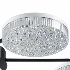 Потолочная люстра Lumion Didana 8236/7CL в Полевском - polevskoy.ok-mebel.com | фото 9
