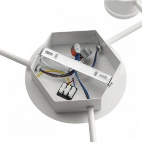 Потолочная люстра Lumion Gareta 8235/9C в Полевском - polevskoy.ok-mebel.com | фото 6