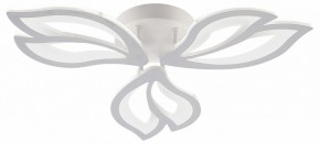 Потолочная люстра Natali Kovaltseva FORTUNA LED LAMPS 81107/2C в Полевском - polevskoy.ok-mebel.com | фото