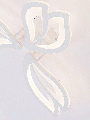 Потолочная люстра Natali Kovaltseva FORTUNA LED LAMPS 81107/2C в Полевском - polevskoy.ok-mebel.com | фото 11