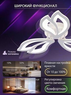 Потолочная люстра Natali Kovaltseva FORTUNA LED LAMPS 81107/2C в Полевском - polevskoy.ok-mebel.com | фото 5