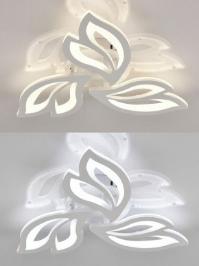 Потолочная люстра Natali Kovaltseva  LED LAMPS 81426 в Полевском - polevskoy.ok-mebel.com | фото 4