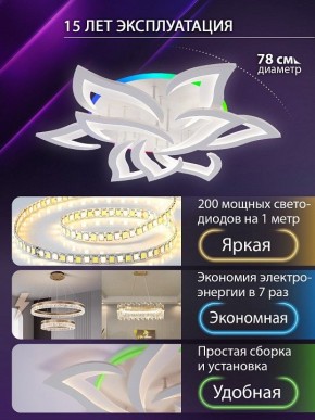 Потолочная люстра Natali Kovaltseva OLIMP LED LAMPS 81435 в Полевском - polevskoy.ok-mebel.com | фото 5