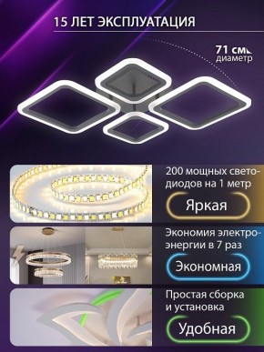 Потолочная люстра Natali Kovaltseva OPTI LED LAMPS 81108/2C в Полевском - polevskoy.ok-mebel.com | фото 5