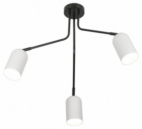 Потолочная люстра Rivoli Rosalinda Б0064987 в Полевском - polevskoy.ok-mebel.com | фото 4