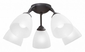 Потолочная люстра Vitaluce V3184 V3737-2/5PL в Полевском - polevskoy.ok-mebel.com | фото