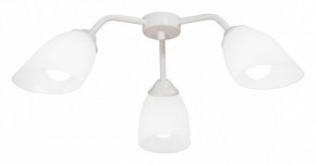 Потолочная люстра Vitaluce V31950 V31950/3PL в Полевском - polevskoy.ok-mebel.com | фото
