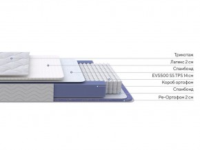 PROxSON Матрас Active Duo S/F (Ткань Трикотаж Эко) 80x190 в Полевском - polevskoy.ok-mebel.com | фото 2