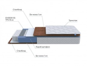 PROxSON Матрас Active F Roll (Ткань Трикотаж Эко) 140x200 в Полевском - polevskoy.ok-mebel.com | фото 7