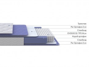 PROxSON Матрас Active F (Ткань Трикотаж Эко) 120x200 в Полевском - polevskoy.ok-mebel.com | фото 2