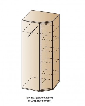 ШК-1011 (Шкаф угловой) в Полевском - polevskoy.ok-mebel.com | фото