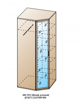 ШК-1012 (Шкаф угловой) в Полевском - polevskoy.ok-mebel.com | фото
