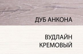 Шкаф 1DZ, OLIVIA, цвет вудлайн крем/дуб анкона в Полевском - polevskoy.ok-mebel.com | фото 3