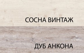 Шкаф 2D1S, MONAKO, цвет Сосна винтаж/дуб анкона в Полевском - polevskoy.ok-mebel.com | фото