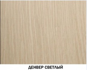 Шкаф для одежды №609 "Инна" Денвер светлый (*без полок) в Полевском - polevskoy.ok-mebel.com | фото 4