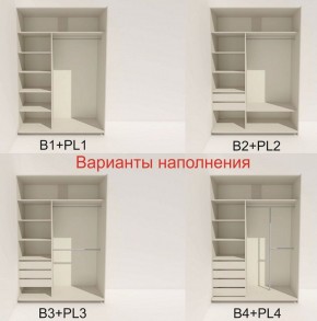 Шкаф-купе 1400 серии SOFT D8+D2+B2+PL4 (2 ящика+F обр.штанга) профиль «Капучино» в Полевском - polevskoy.ok-mebel.com | фото 4