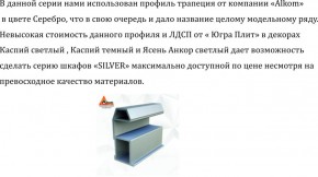 Шкаф-купе 1500 серии SILVER S1+S1+B2+PL2 (2 ящика+1 штанга+1 полка) профиль «Серебро» в Полевском - polevskoy.ok-mebel.com | фото 4