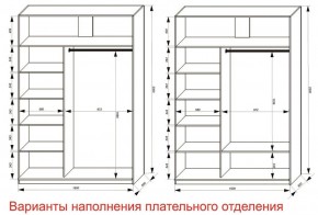 Шкаф-купе 1600 серии SOFT D6+D4+B2+PL2 (2 ящика+1штанга+1 полка) профиль «Капучино» в Полевском - polevskoy.ok-mebel.com | фото 8