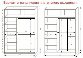 Шкаф-купе 1600 серии SOFT D6+D4+B2+PL2 (2 ящика+1штанга+1 полка) профиль «Капучино» в Полевском - polevskoy.ok-mebel.com | фото 9