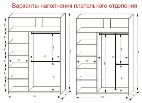 Шкаф-купе 1600 серии SOFT D6+D6+B2+PL3 (2 ящика+2штанги) профиль «Капучино» в Полевском - polevskoy.ok-mebel.com | фото 7