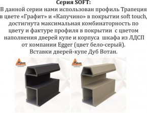 Шкаф-купе 1800 серии SOFT D1+D3+B2+PL1 (2 ящика+1штанга) профиль «Графит» в Полевском - polevskoy.ok-mebel.com | фото 11