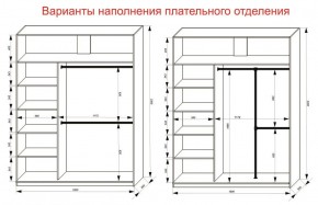 Шкаф-купе 1800 серии SOFT D1+D3+B2+PL1 (2 ящика+1штанга) профиль «Графит» в Полевском - polevskoy.ok-mebel.com | фото 7