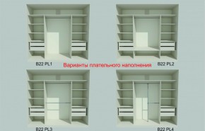 Шкаф-купе 2450 серии NEW CLASSIC K6Z+K1+K6+B22+PL2 (по 2 ящика лев/прав+1 штанга+1 полка) профиль «Капучино» в Полевском - polevskoy.ok-mebel.com | фото 6