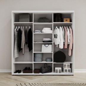 Шкаф-купе Акцент-Сим Д 2400-600 в Полевском - polevskoy.ok-mebel.com | фото 2