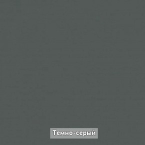 Шкаф купе без зеркала "Ольга-Лофт 10.1" в Полевском - polevskoy.ok-mebel.com | фото 7