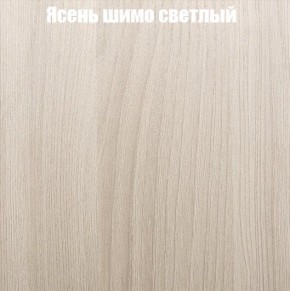 Шкаф-купе «ТАНДЕМ» 2-х дверный в алюминиевом профиле (Дверь К+К) 1200/h2200 в Полевском - polevskoy.ok-mebel.com | фото 6