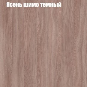 Шкаф-купе «ТАНДЕМ» 2-х дверный в алюминиевом профиле (Дверь ЛДСП+ЛДСП) 1200/h2200 в Полевском - polevskoy.ok-mebel.com | фото 7