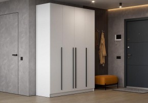 Шкаф платяной Бирма в Полевском - polevskoy.ok-mebel.com | фото 5