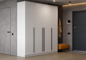Шкаф платяной Бирма в Полевском - polevskoy.ok-mebel.com | фото 4