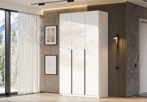Шкаф платяной Даиго в Полевском - polevskoy.ok-mebel.com | фото 3