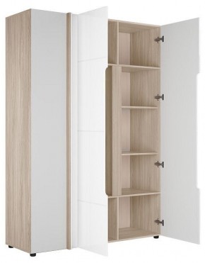 Шкаф платяной Данк в Полевском - polevskoy.ok-mebel.com | фото 2