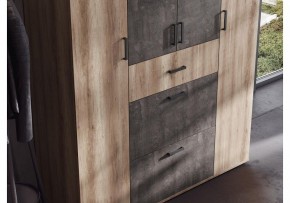 Шкаф платяной Паркинс в Полевском - polevskoy.ok-mebel.com | фото 3