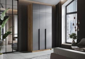 Шкаф платяной Широн в Полевском - polevskoy.ok-mebel.com | фото 4