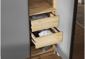 Шкаф платяной Широн в Полевском - polevskoy.ok-mebel.com | фото 3