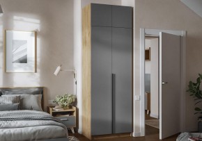 Шкаф платяной Широн в Полевском - polevskoy.ok-mebel.com | фото 4
