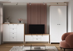Шкаф платяной Теодора в Полевском - polevskoy.ok-mebel.com | фото 4