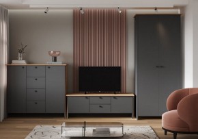 Шкаф платяной Теодора в Полевском - polevskoy.ok-mebel.com | фото 3