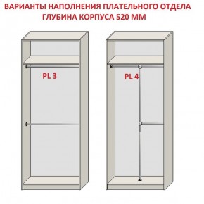 Шкаф распашной серия «ЗЕВС» (PL3/С1/PL2) в Полевском - polevskoy.ok-mebel.com | фото 10