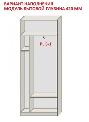 Шкаф распашной серия «ЗЕВС» (PL3/С1/PL2) в Полевском - polevskoy.ok-mebel.com | фото 4