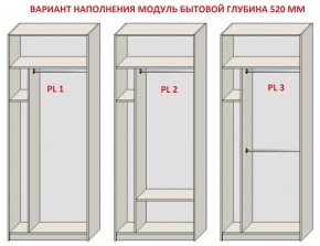 Шкаф распашной серия «ЗЕВС» (PL3/С1/PL2) Серый камень/Небраска натуральный в Полевском - polevskoy.ok-mebel.com | фото 5