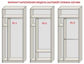 Шкаф распашной серия «ЗЕВС» (PL3/С1/PL2) в Полевском - polevskoy.ok-mebel.com | фото 5