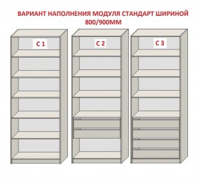 Шкаф распашной серия «ЗЕВС» (PL3/С1/PL2) в Полевском - polevskoy.ok-mebel.com | фото 6