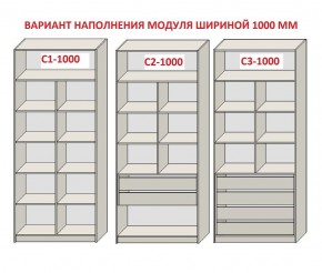Шкаф распашной серия «ЗЕВС» (PL3/С1/PL2) Серый камень/Небраска натуральный в Полевском - polevskoy.ok-mebel.com | фото 7