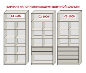 Шкаф распашной серия «ЗЕВС» (PL3/С1/PL2) в Полевском - polevskoy.ok-mebel.com | фото 7