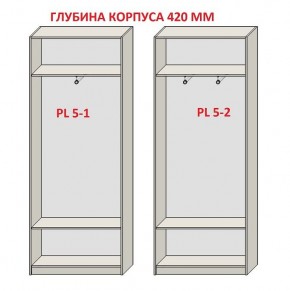 Шкаф распашной серия «ЗЕВС» (PL3/С1/PL2) в Полевском - polevskoy.ok-mebel.com | фото 8