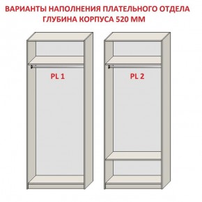 Шкаф распашной серия «ЗЕВС» (PL3/С1/PL2) в Полевском - polevskoy.ok-mebel.com | фото 9